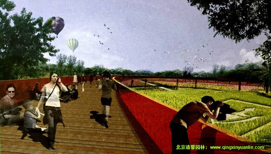 大潘森林公園 景觀設(shè)計案例展示