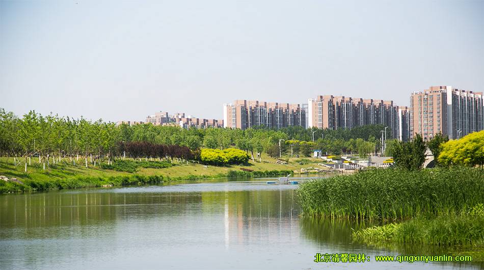 公園景觀設計 度假村景觀設計