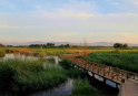 北京最大最美的濕地公園景觀：野鴨湖國(guó)家濕地公園