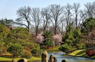 日本古典園林鑒賞